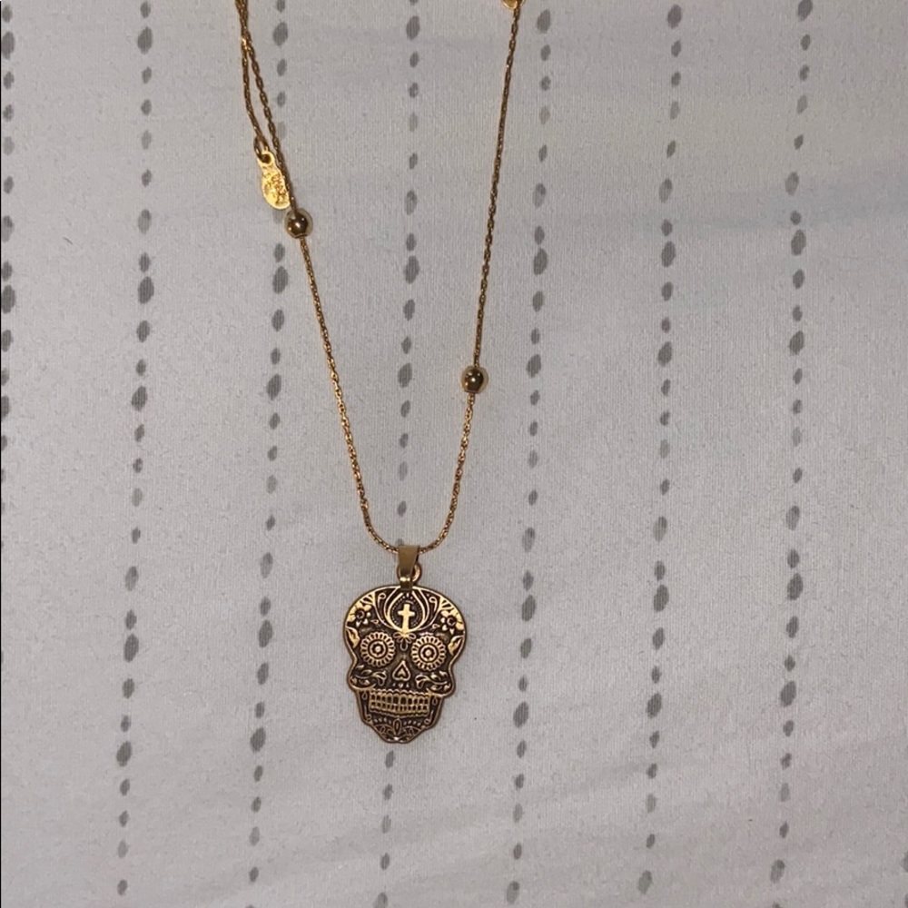 Alex & Ani skull necklace